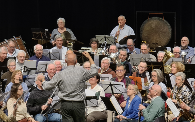 Vlamo senioren play in